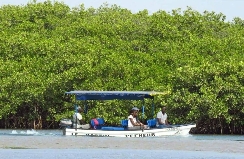 Somone Lagoon Reserve, Thiès Region, Senegal